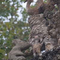 Photo de France - Le Palais idéal du Facteur Cheval